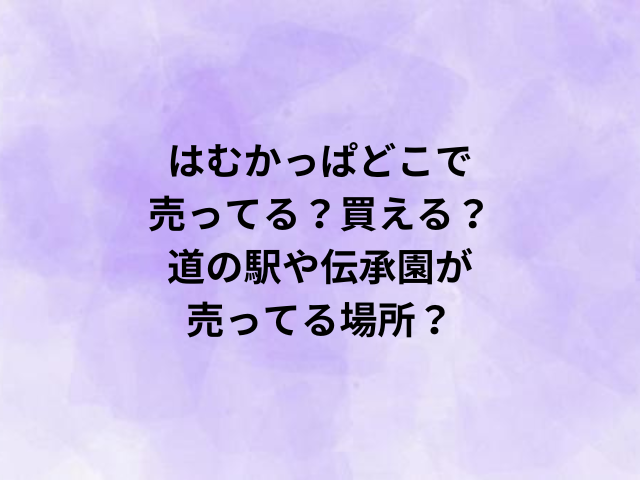 はむかっぱどこで売ってる？買える？道の駅や伝承園が売ってる場所？